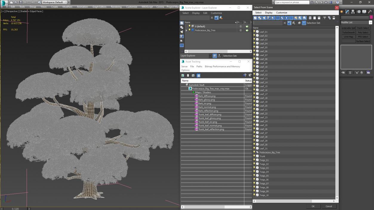 Podocarpus Big Tree 3D model