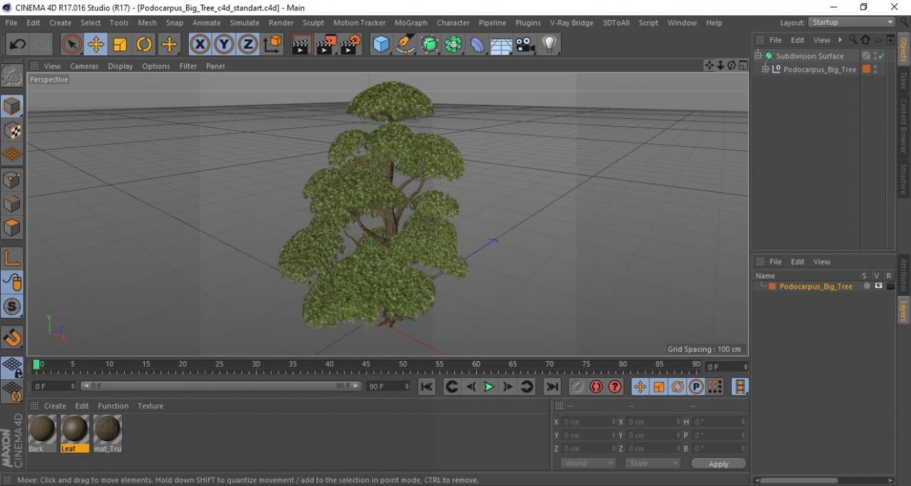 Podocarpus Big Tree 3D model