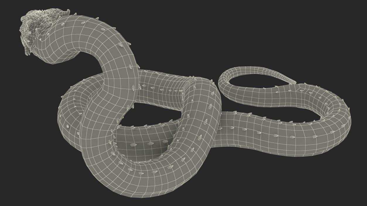 3D Serpentine Dragon Creature 2 model