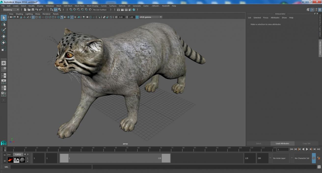 3D model Manul Cat is Walking