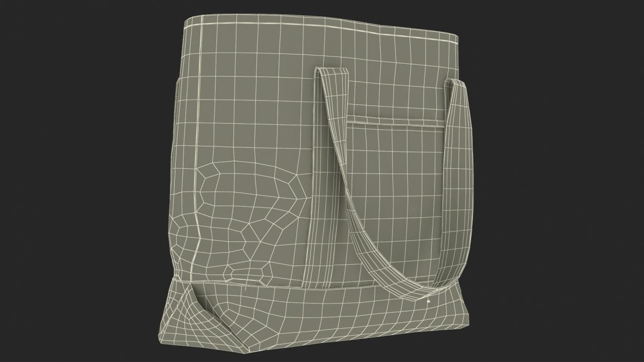 3D Grocery Bag