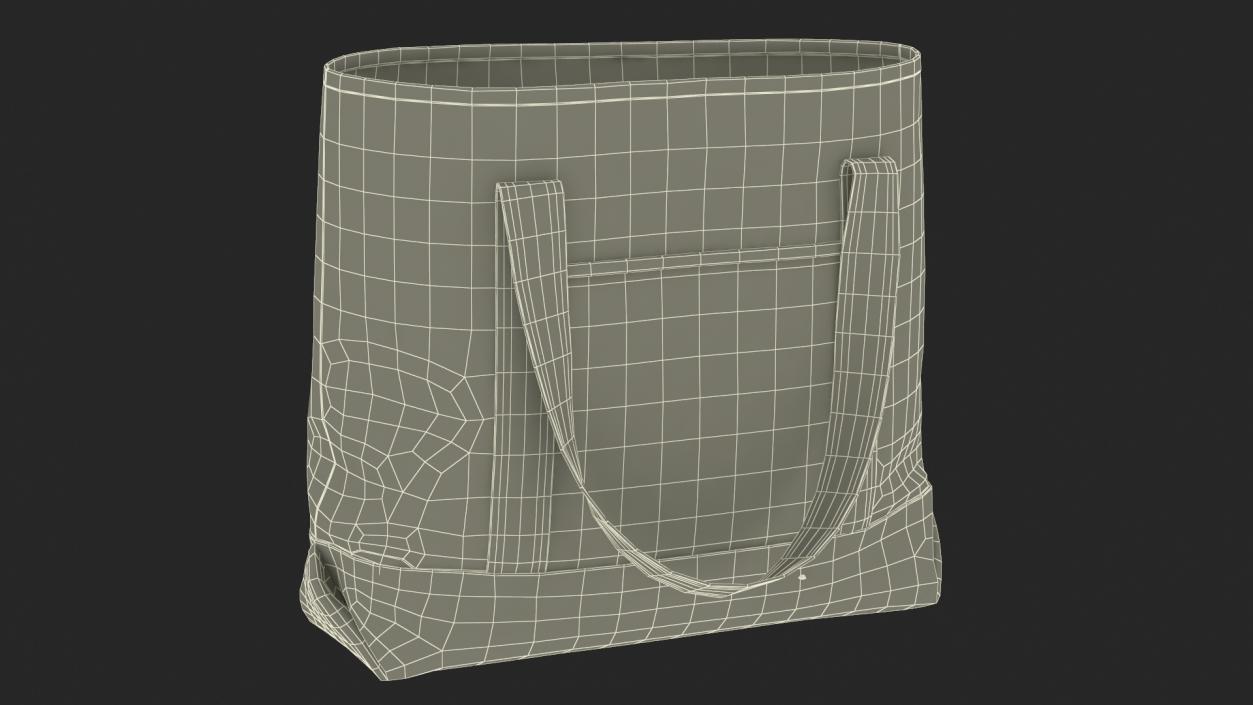 3D Grocery Bag