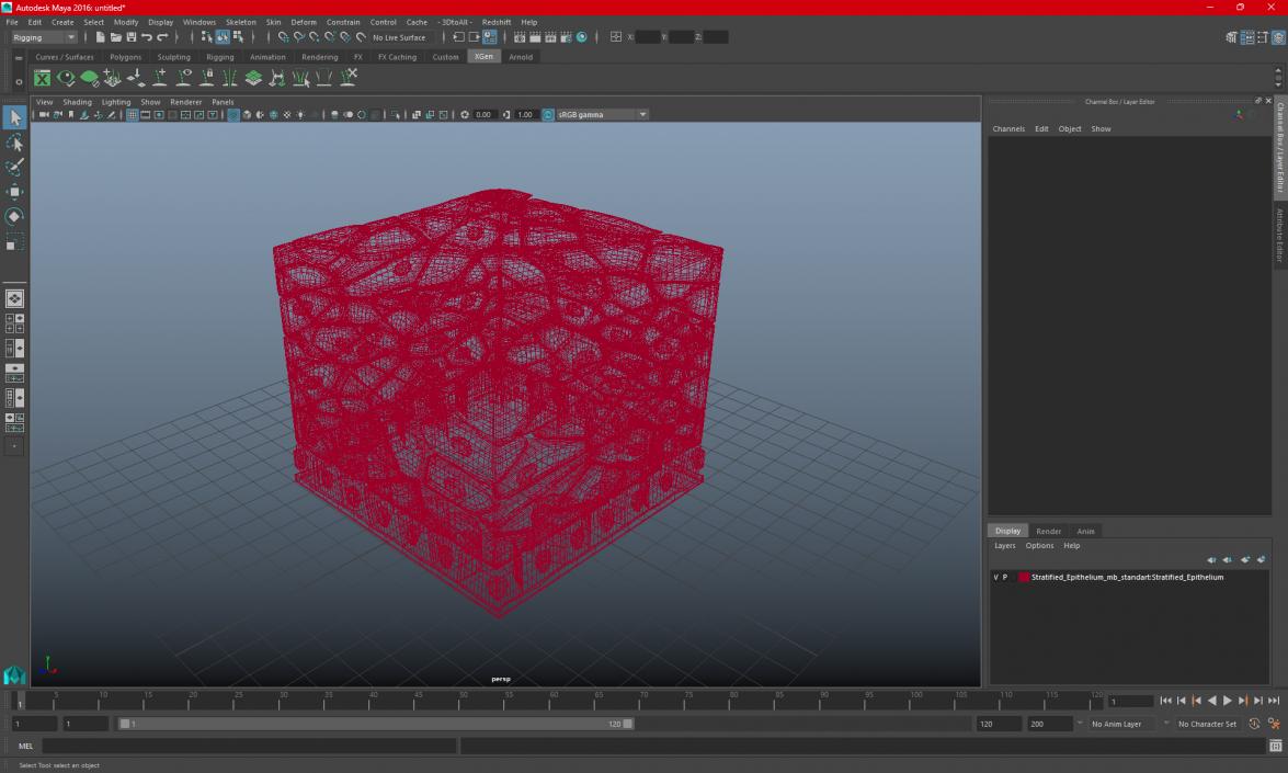 3D Stratified Epithelium