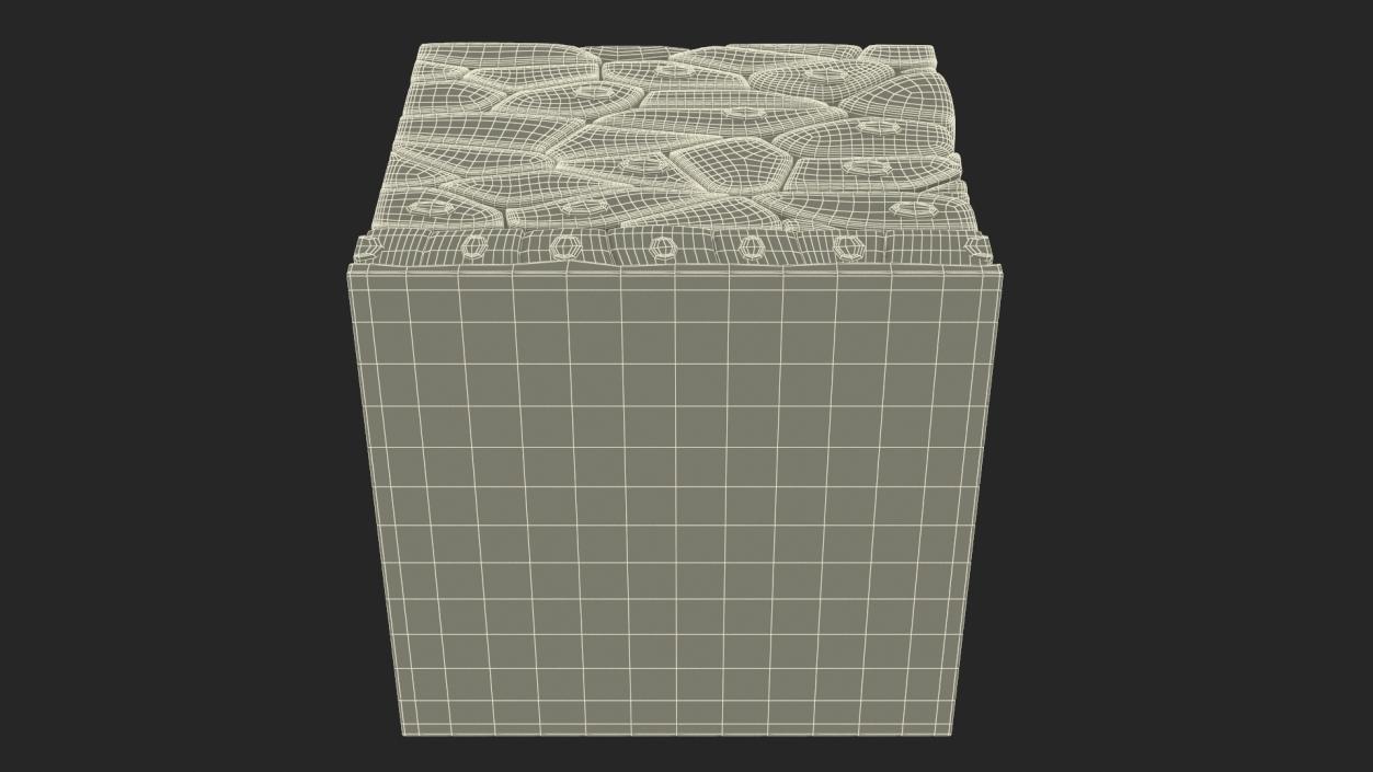 3D Stratified Epithelium