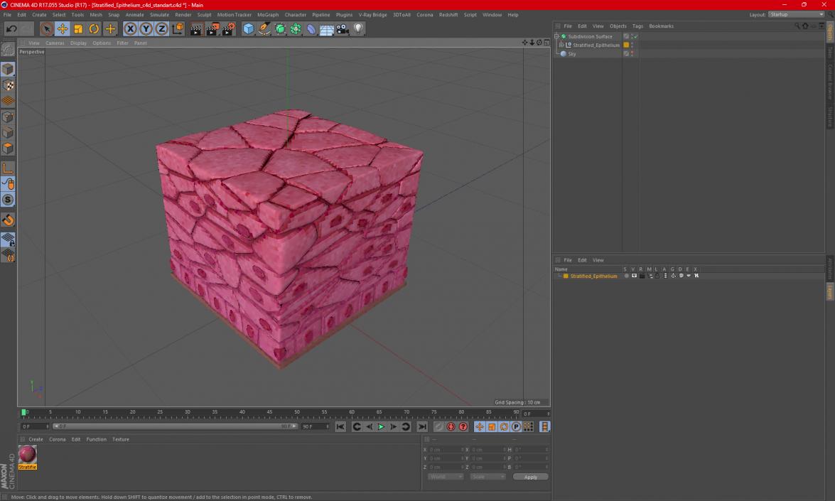 3D Stratified Epithelium