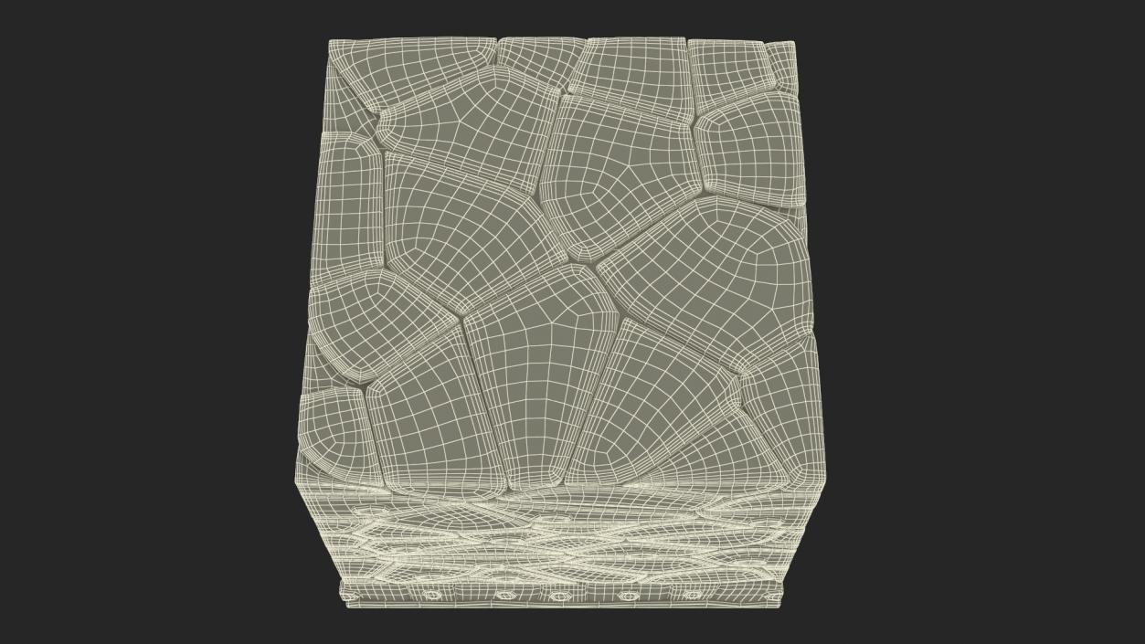 3D Stratified Epithelium