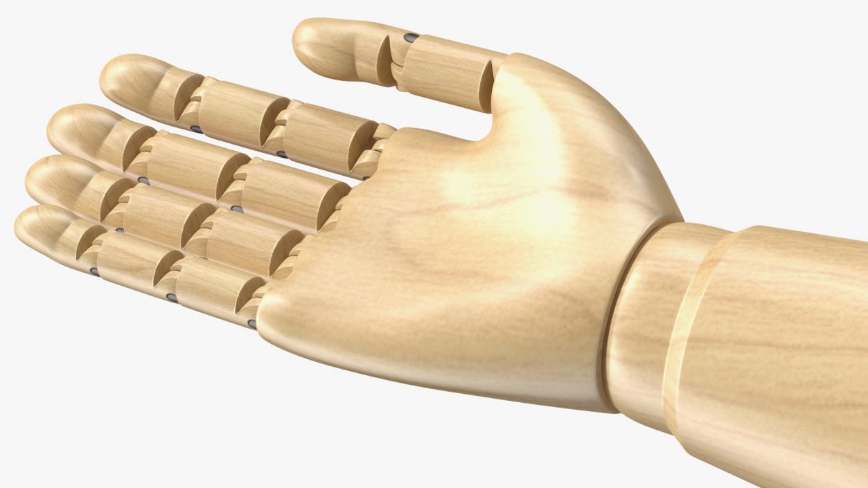 3D Mannequin Wooden Hand Rigged model