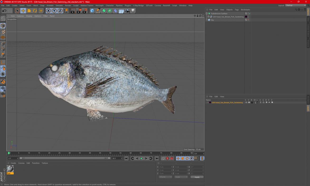 3D Gilt-head Sea Bream Fish Swimming model