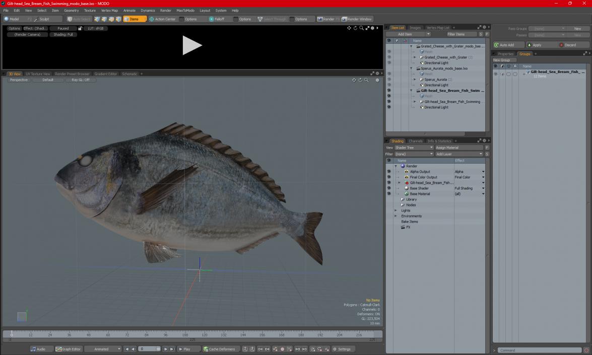 3D Gilt-head Sea Bream Fish Swimming model