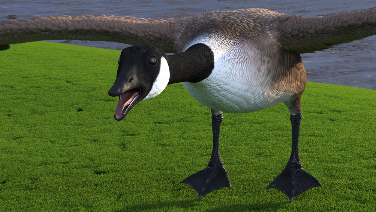 3D model Wild Goose