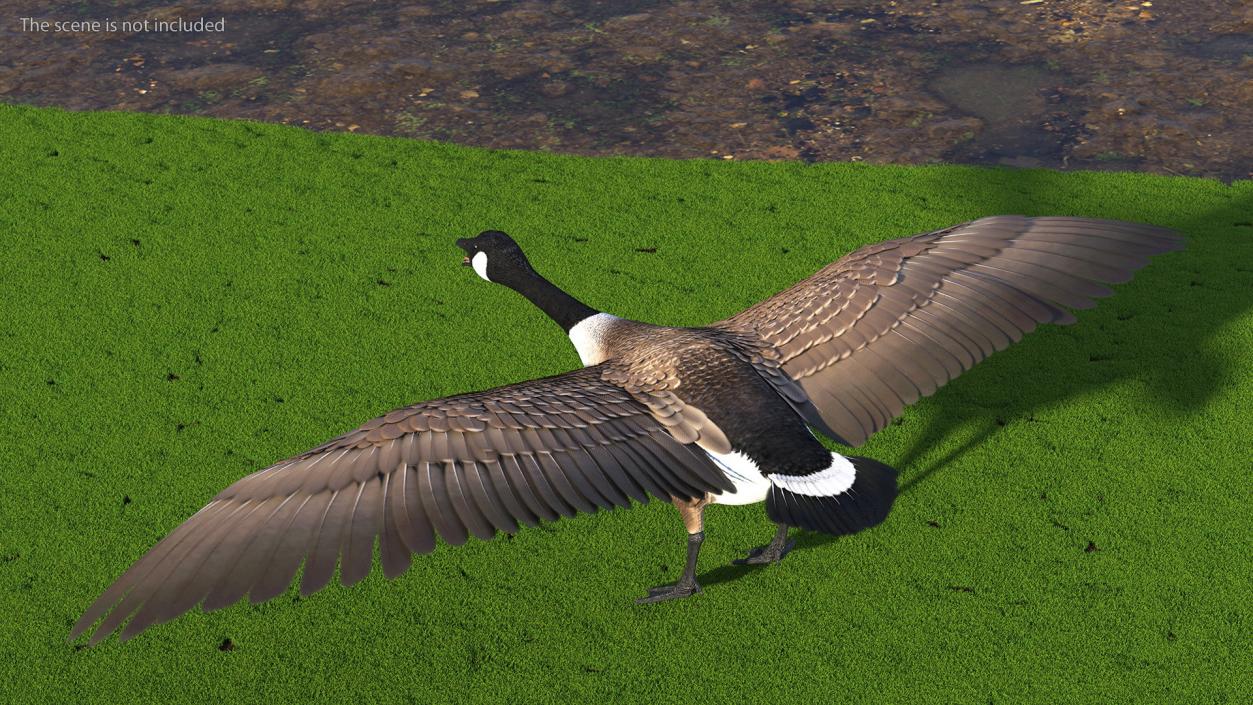 3D model Wild Goose