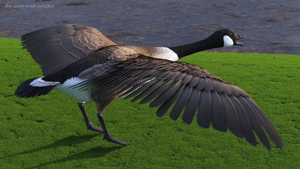 3D model Wild Goose