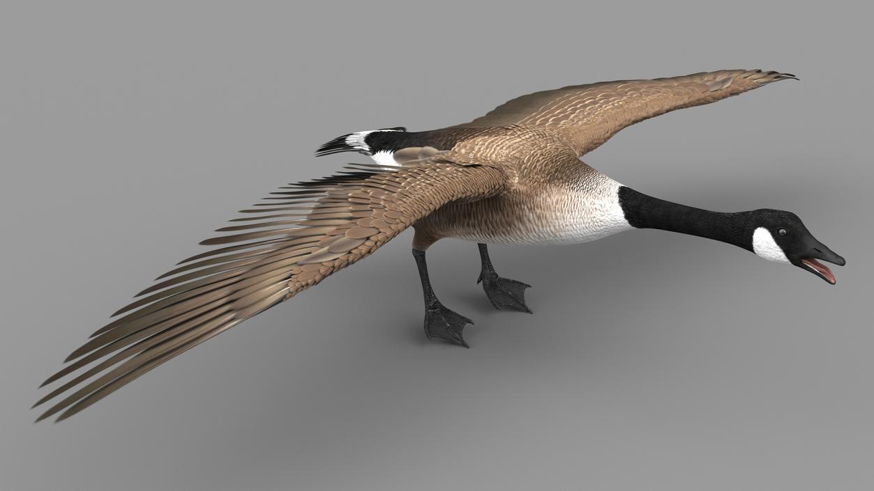 3D model Wild Goose