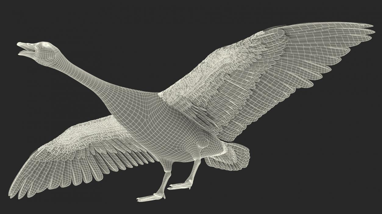 3D model Wild Goose