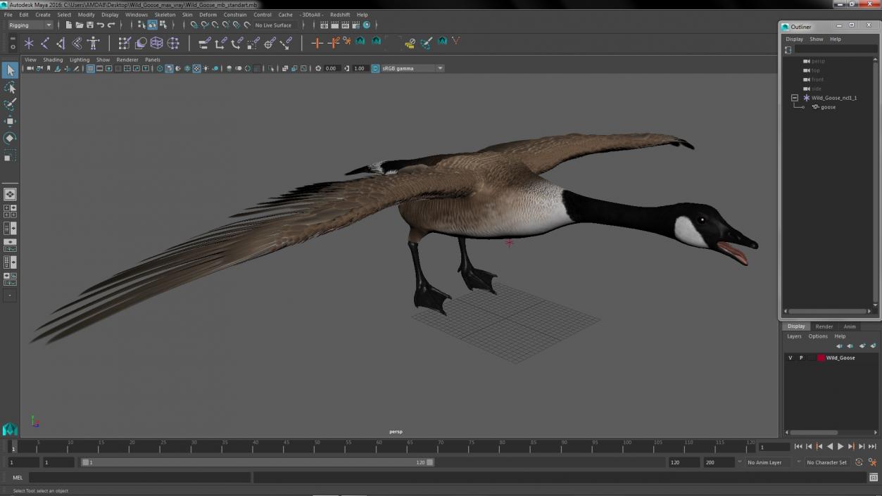 3D model Wild Goose