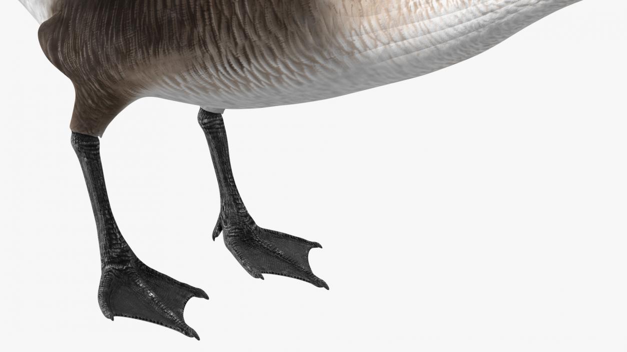 3D model Wild Goose