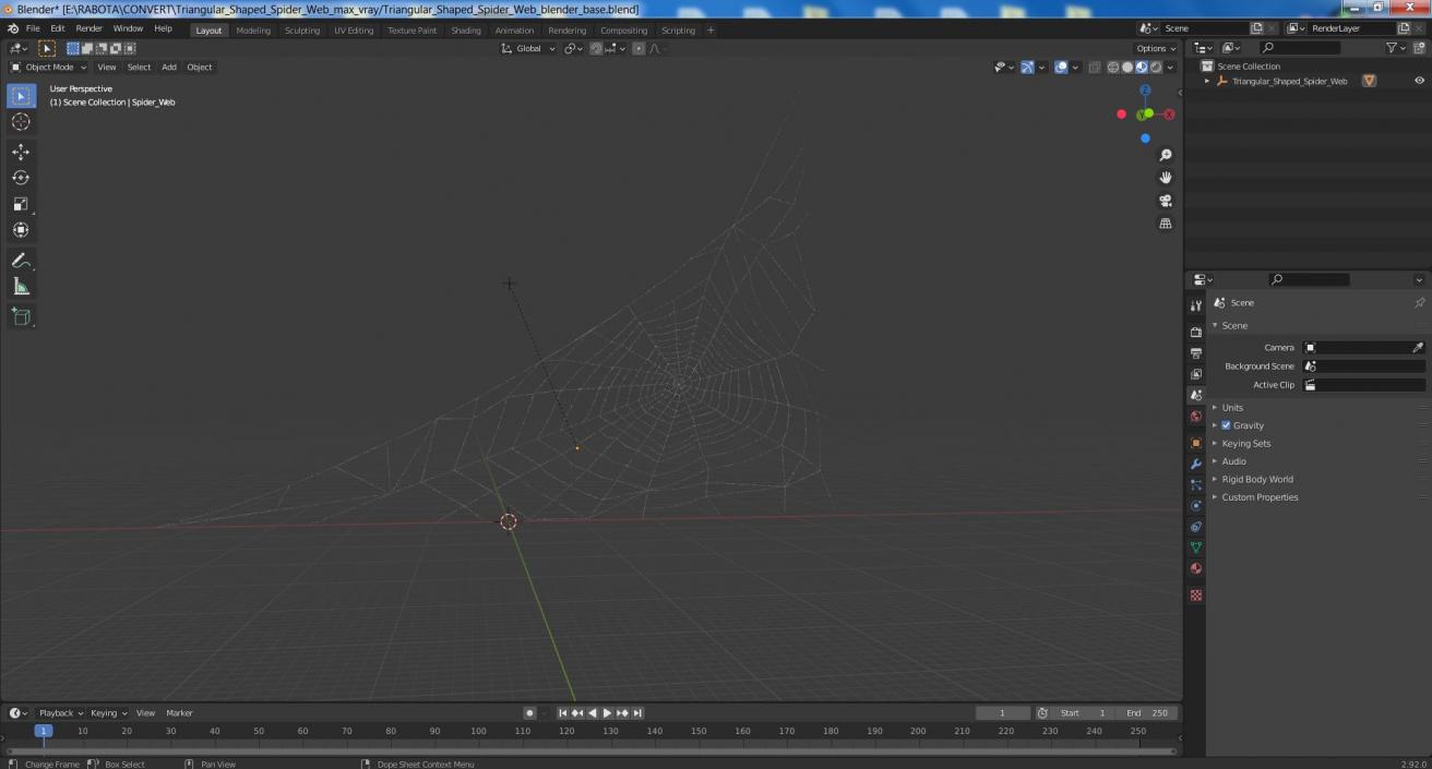 3D Triangular Shaped Spider Web model