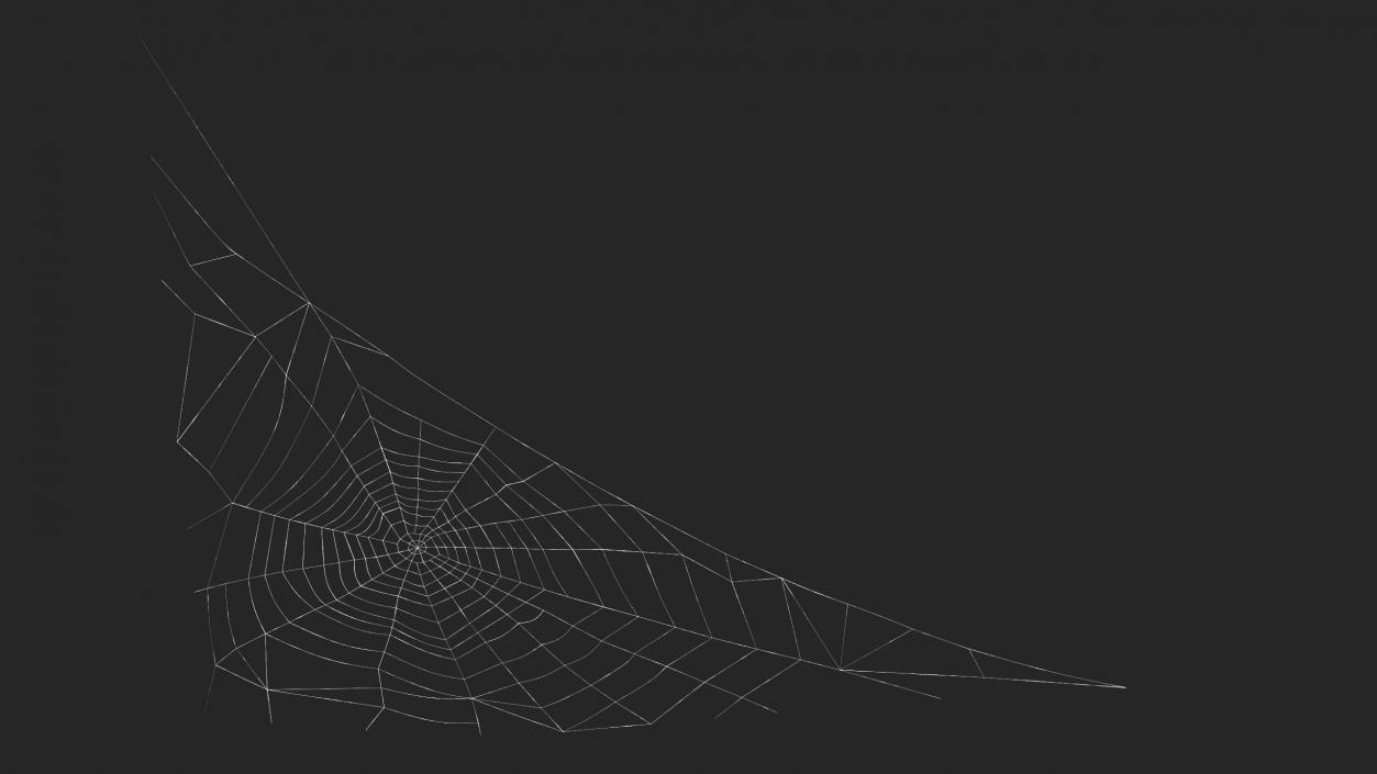 3D Triangular Shaped Spider Web model