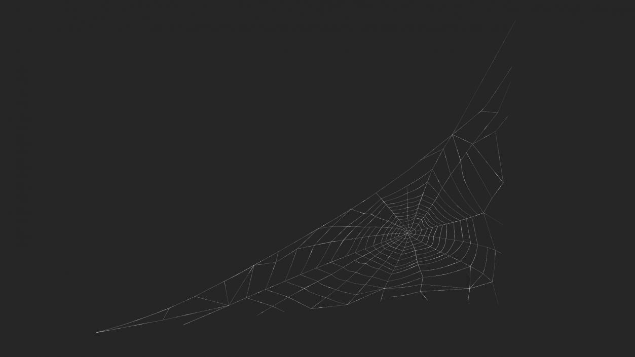 3D Triangular Shaped Spider Web model