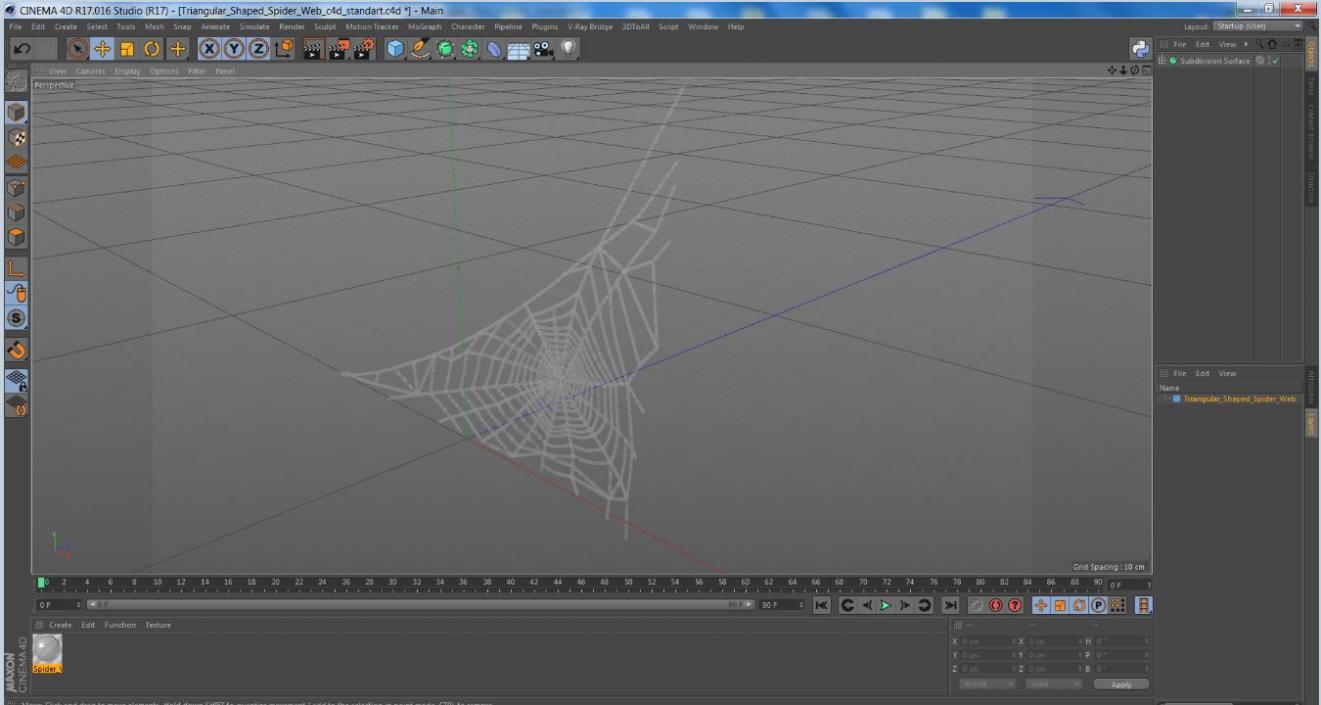 3D Triangular Shaped Spider Web model