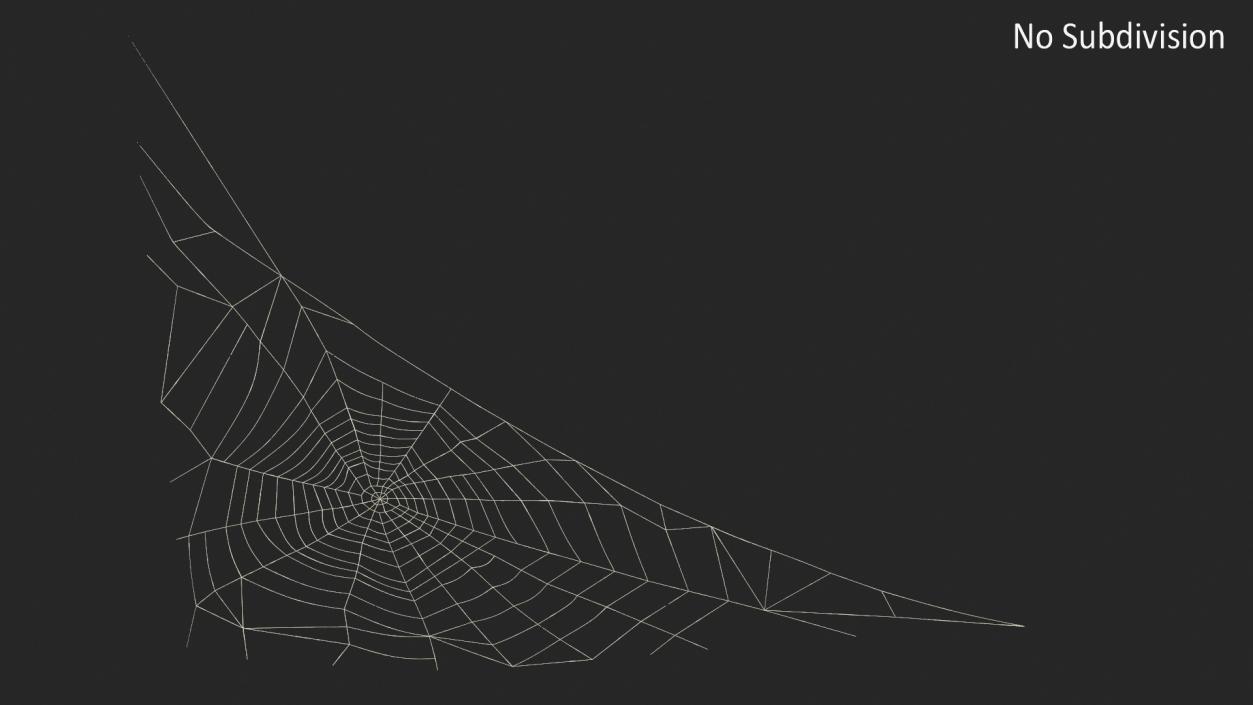 3D Triangular Shaped Spider Web model