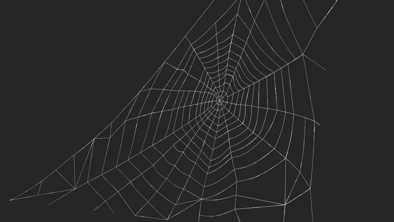 3D Triangular Shaped Spider Web model