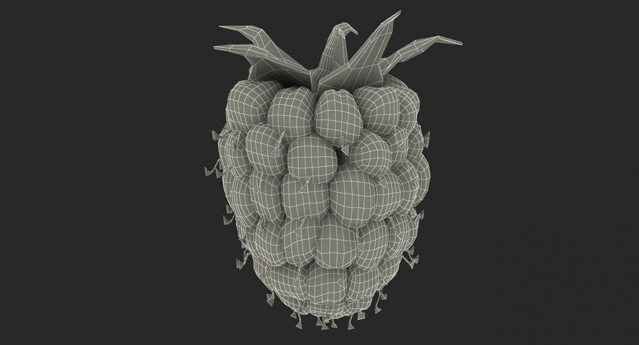 Fruits 3D Models Collection 4 3D model