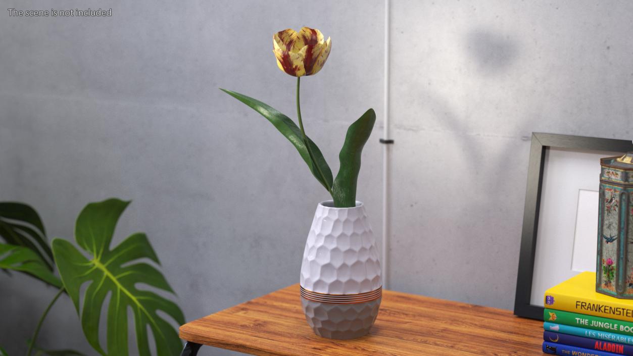 Blooming Banja Luka Tulip Flower 3D