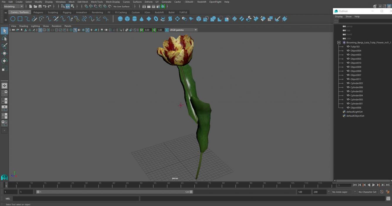 Blooming Banja Luka Tulip Flower 3D