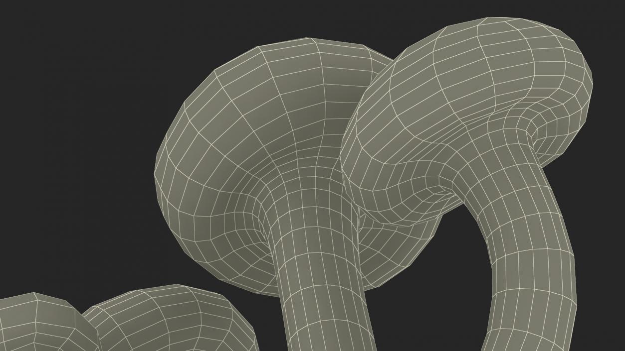 Honey Agaric 2 3D model