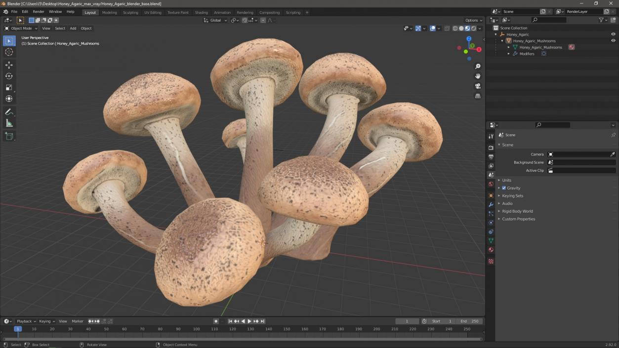 Honey Agaric 2 3D model