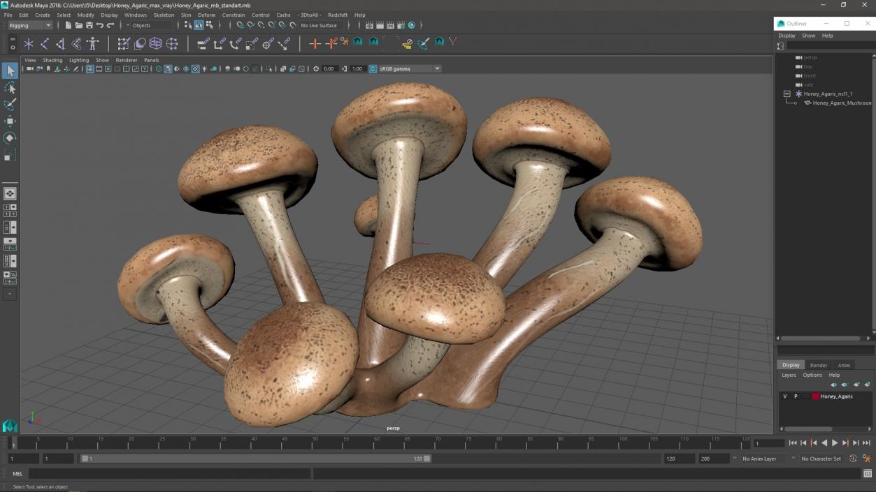 Honey Agaric 2 3D model