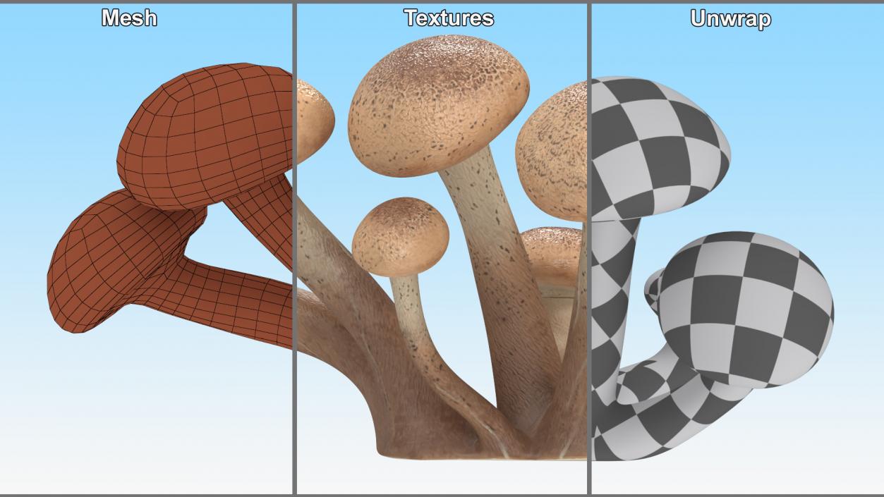 Honey Agaric 2 3D model