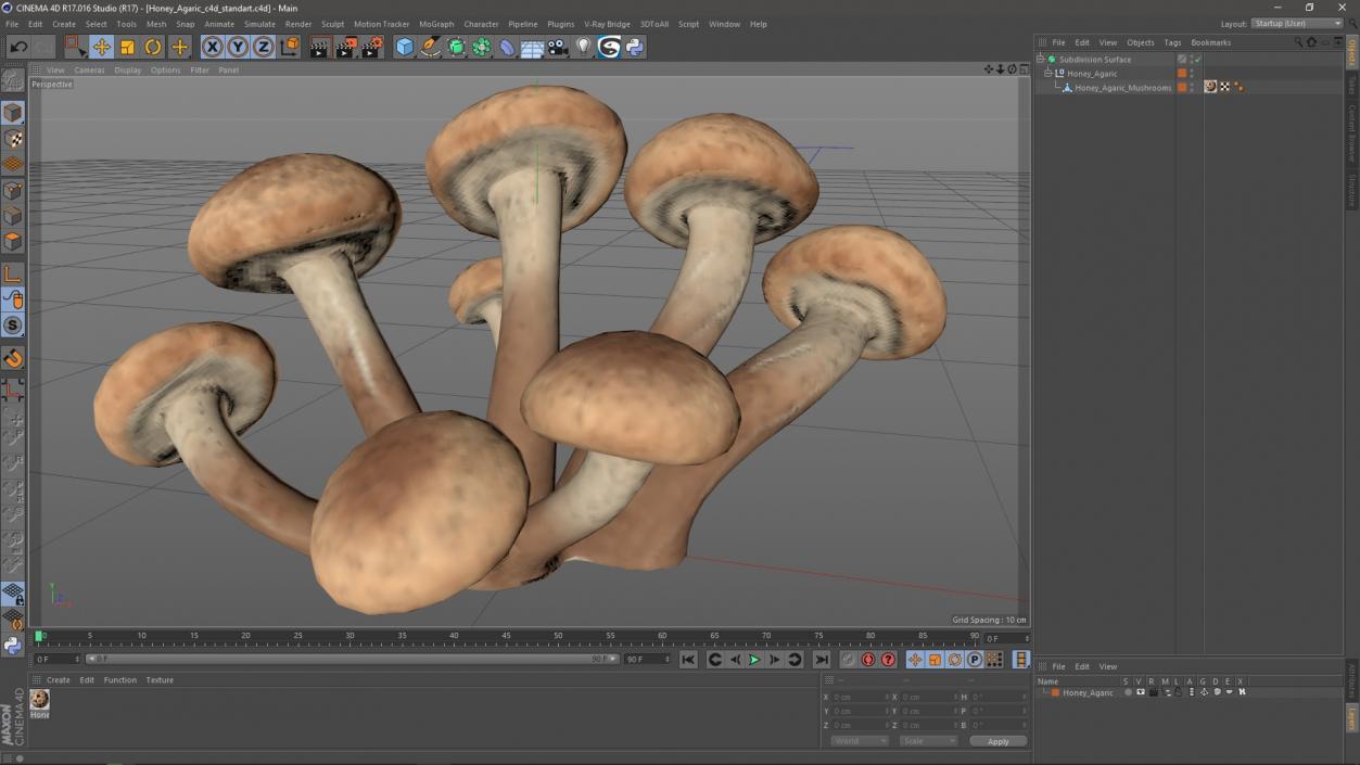 Honey Agaric 2 3D model