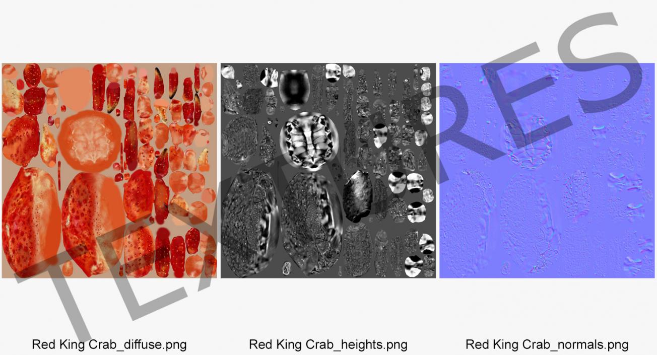 3D Red King Crab model