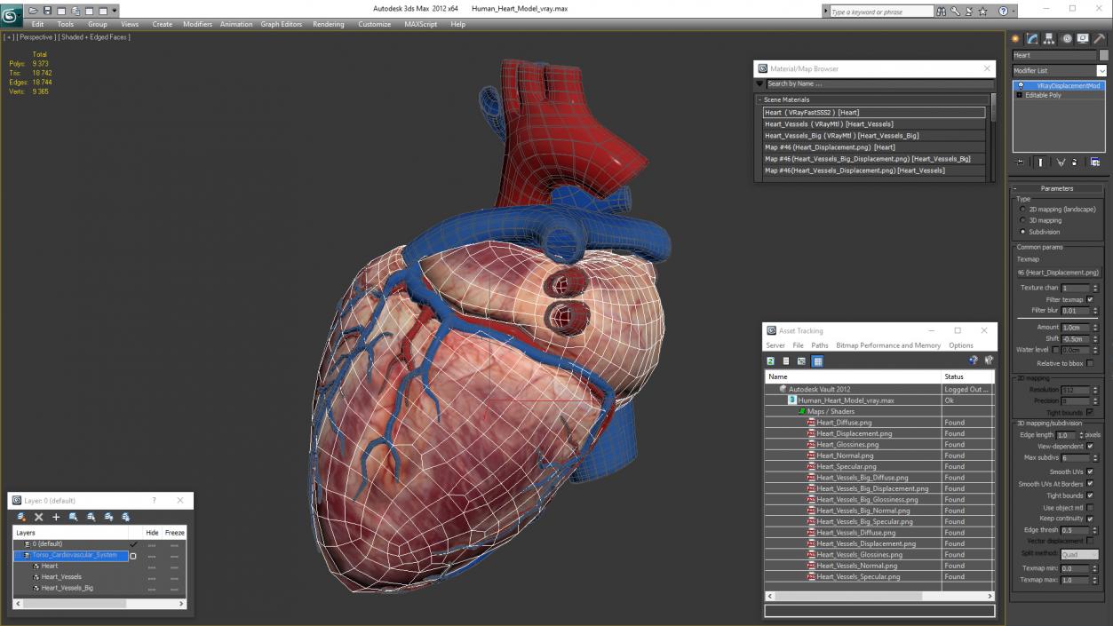 3D Human Heart