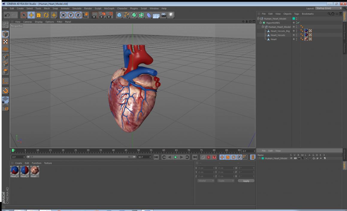 3D Human Heart