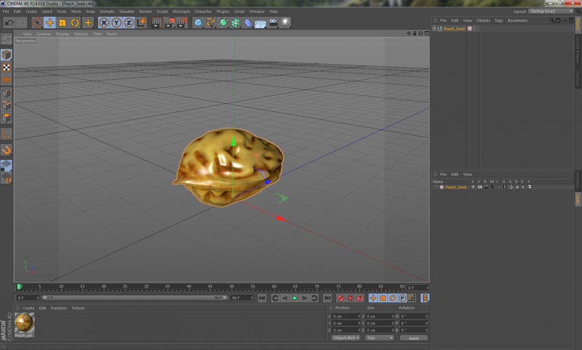 3D model Peach Seed