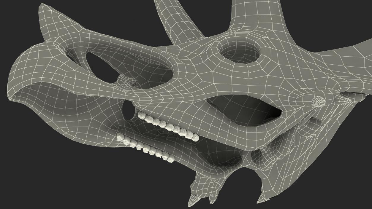 Triceratops Skull Part Fossil 3D model