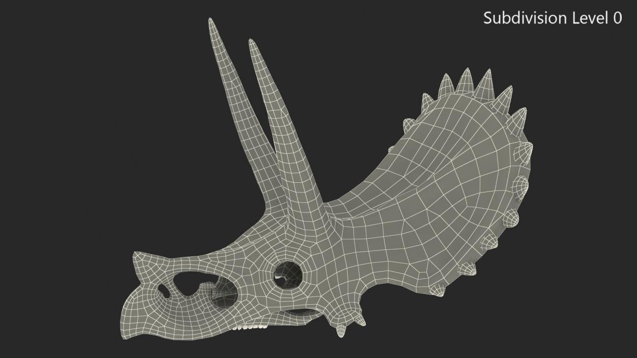 Triceratops Skull Part Fossil 3D model