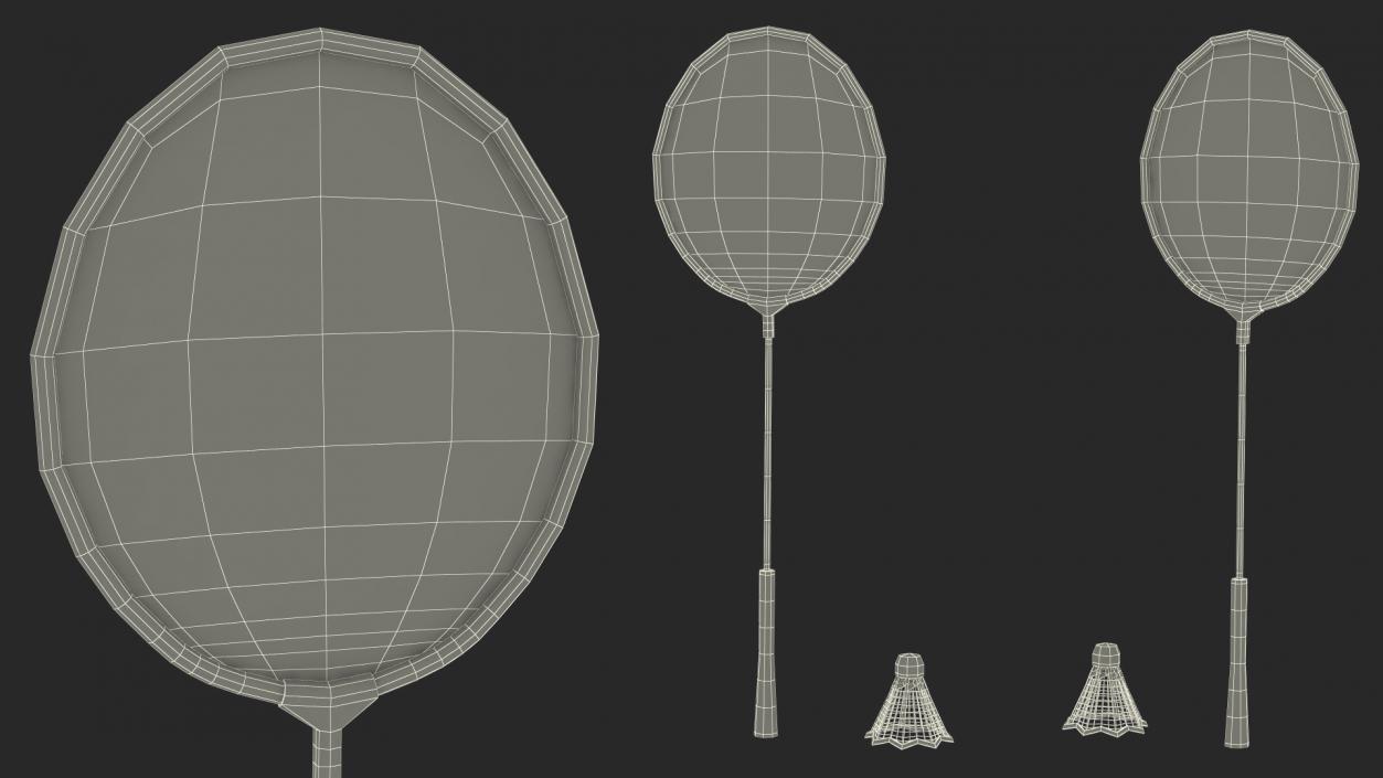 3D Badminton Racquet and Shuttlecock model