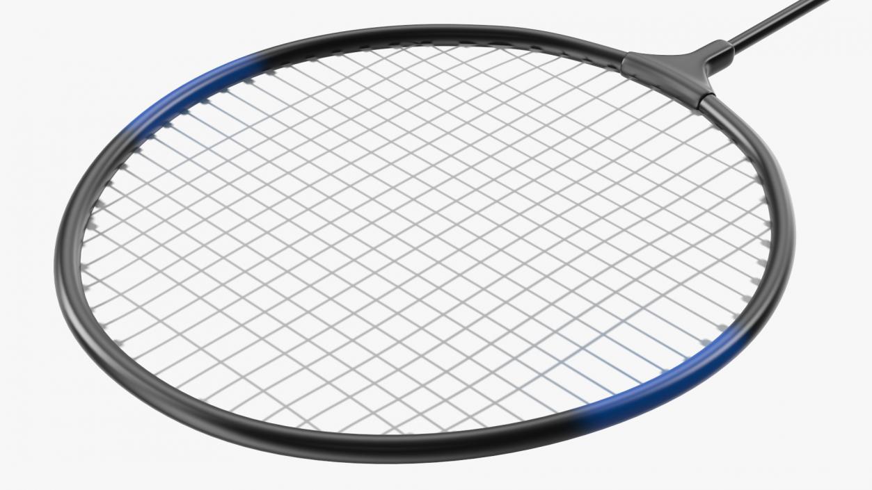 3D Badminton Racquet and Shuttlecock model