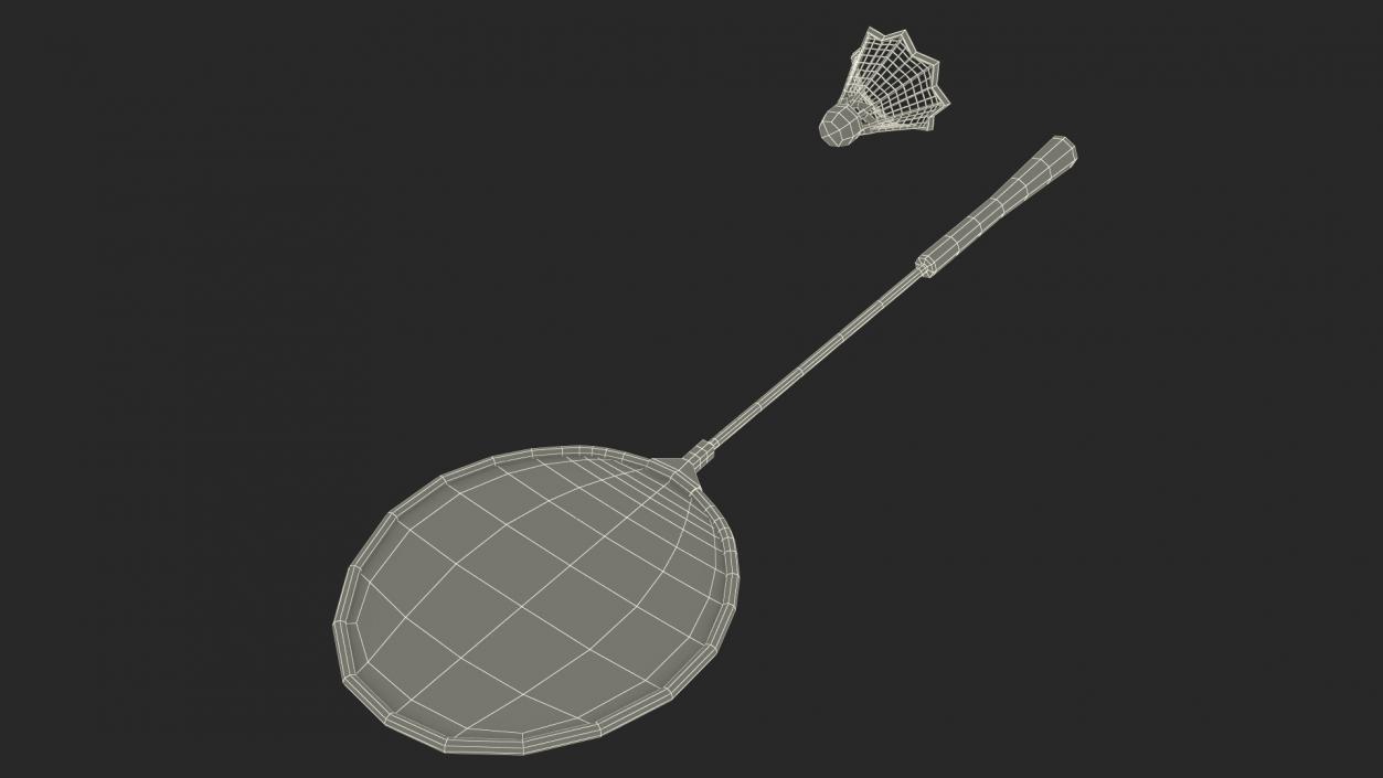 3D Badminton Racquet and Shuttlecock model