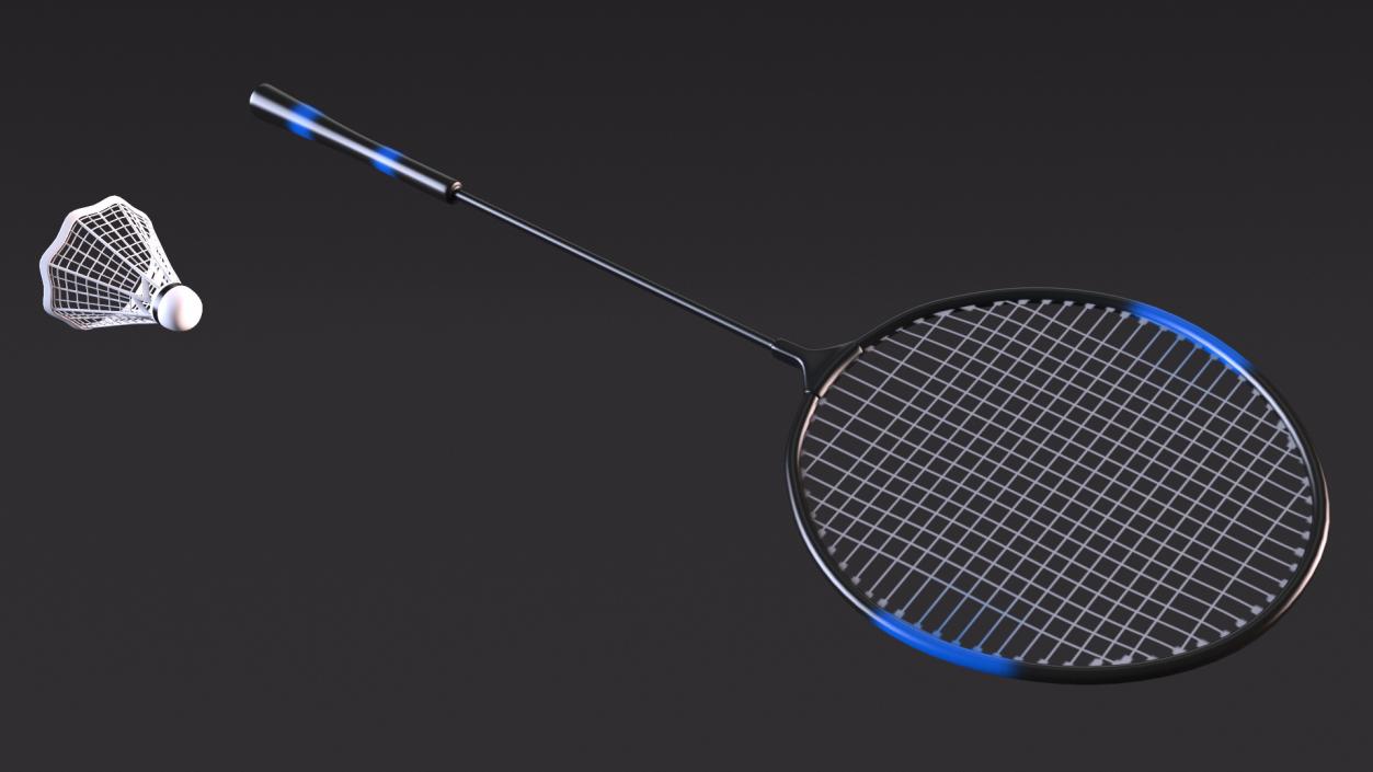 3D Badminton Racquet and Shuttlecock model