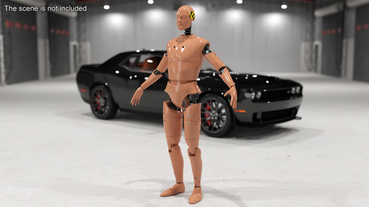 Humanoid Crash Test Dummy Rigged 3D