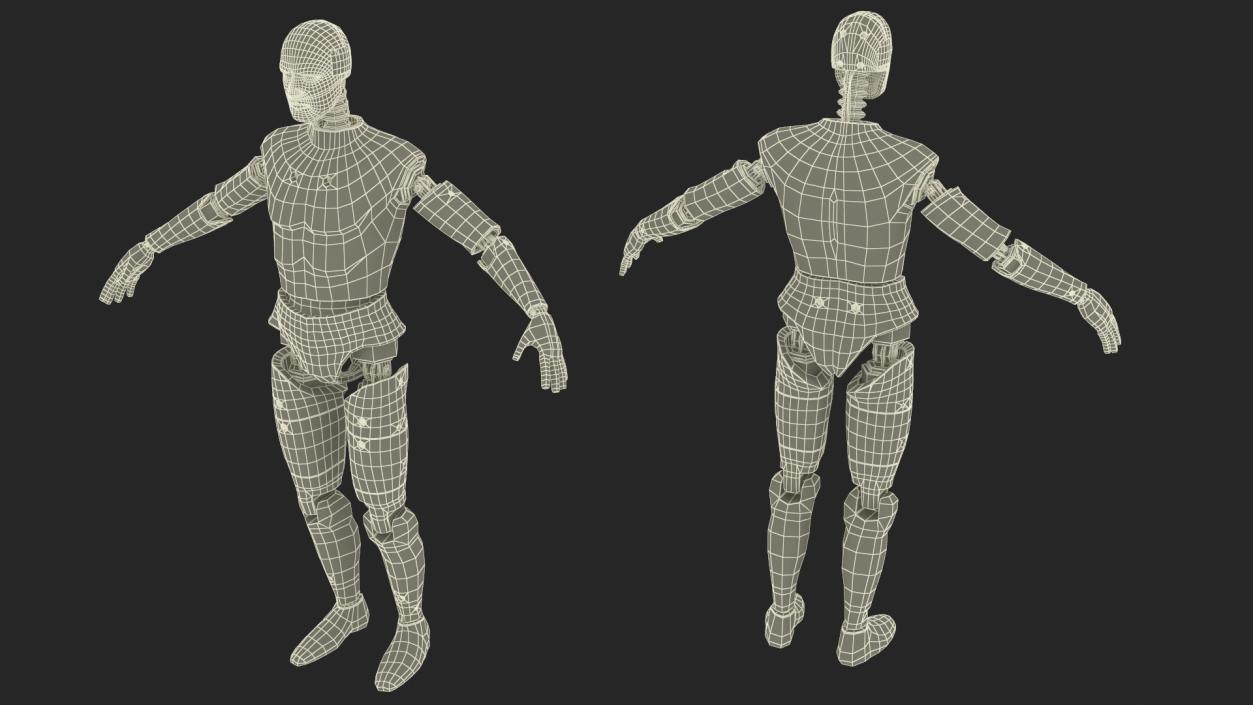 Humanoid Crash Test Dummy Rigged 3D