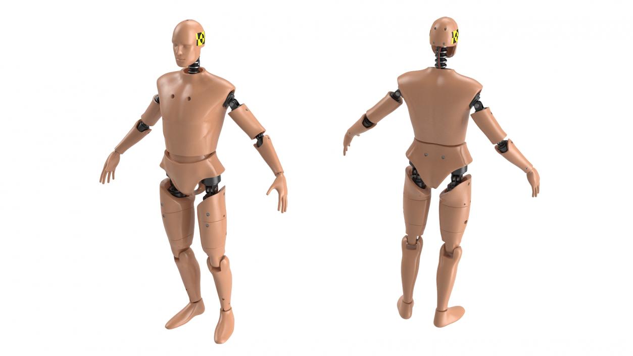 Humanoid Crash Test Dummy Rigged 3D