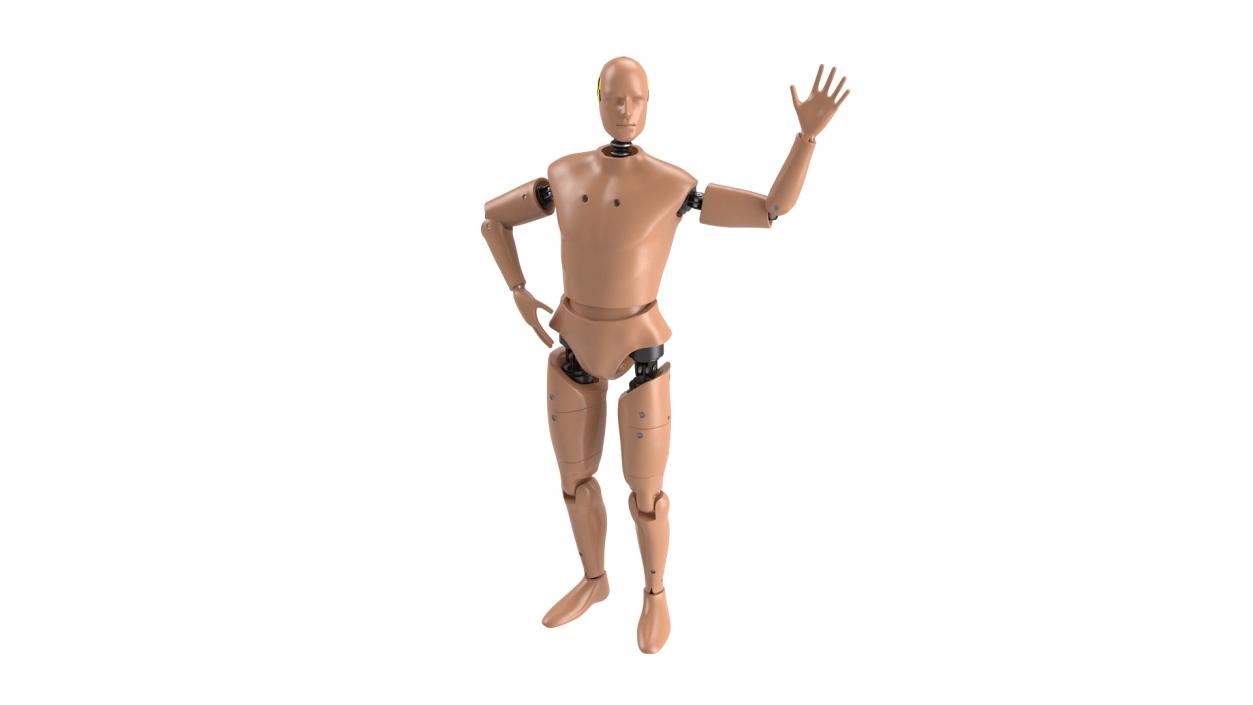 Humanoid Crash Test Dummy Rigged 3D