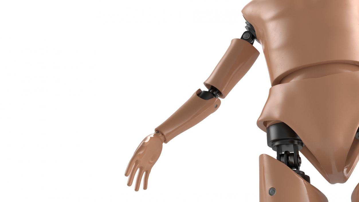 Humanoid Crash Test Dummy Rigged 3D