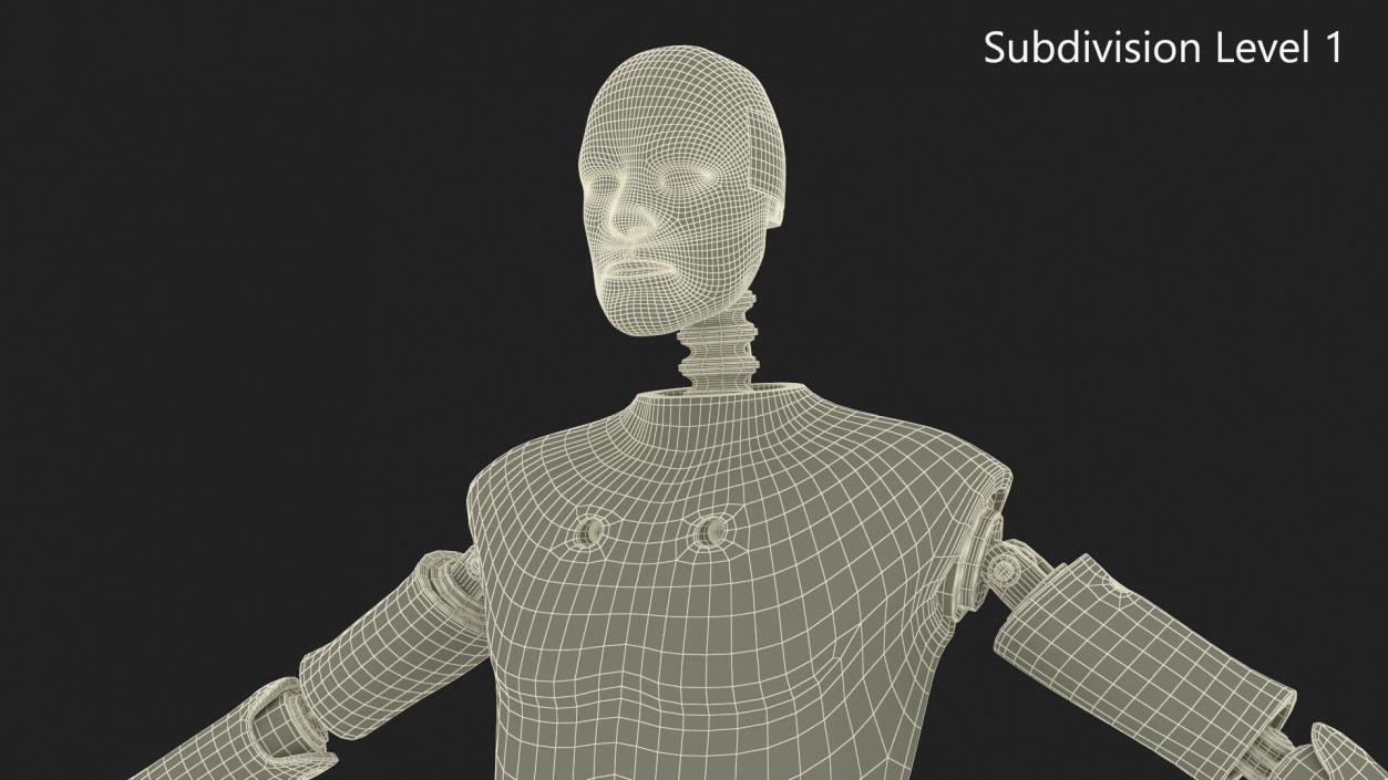 Humanoid Crash Test Dummy Rigged 3D